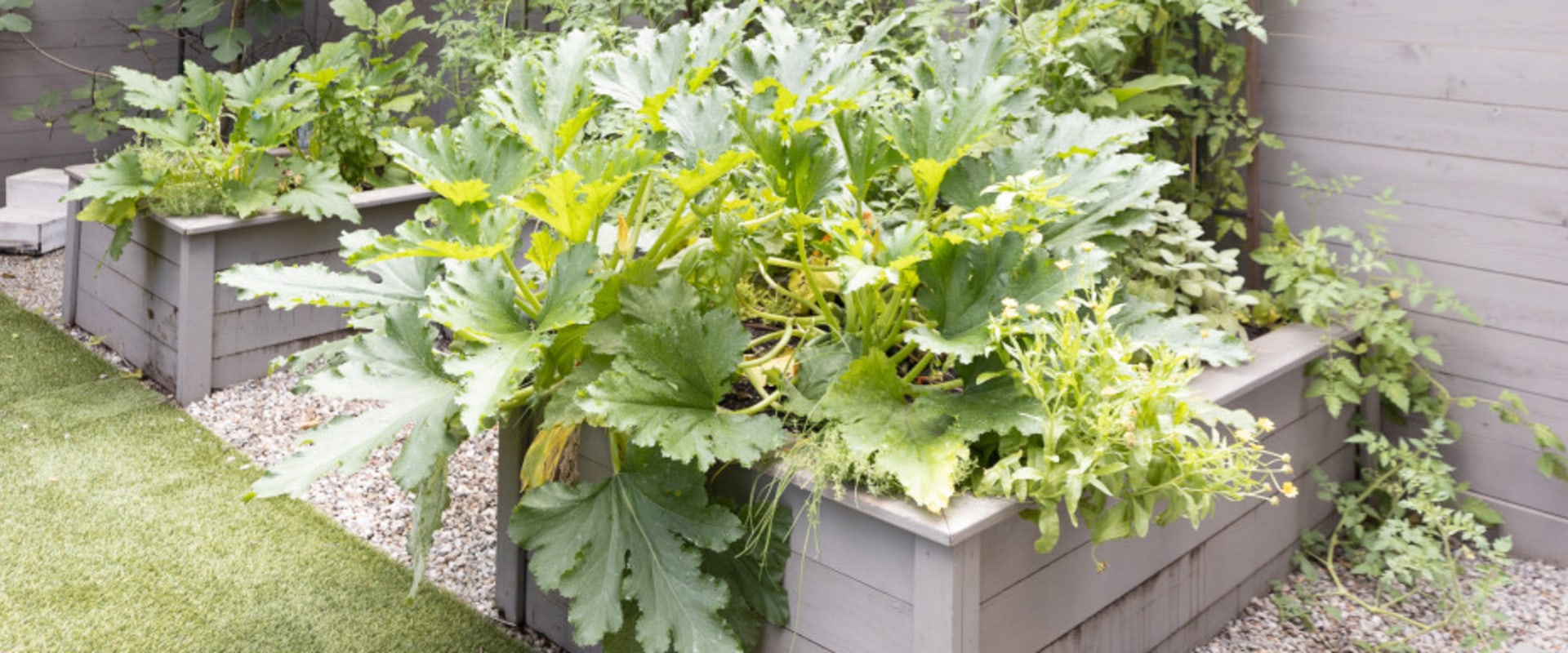 Raised Bed Gardening: Enhancing Your Outdoor Living Space