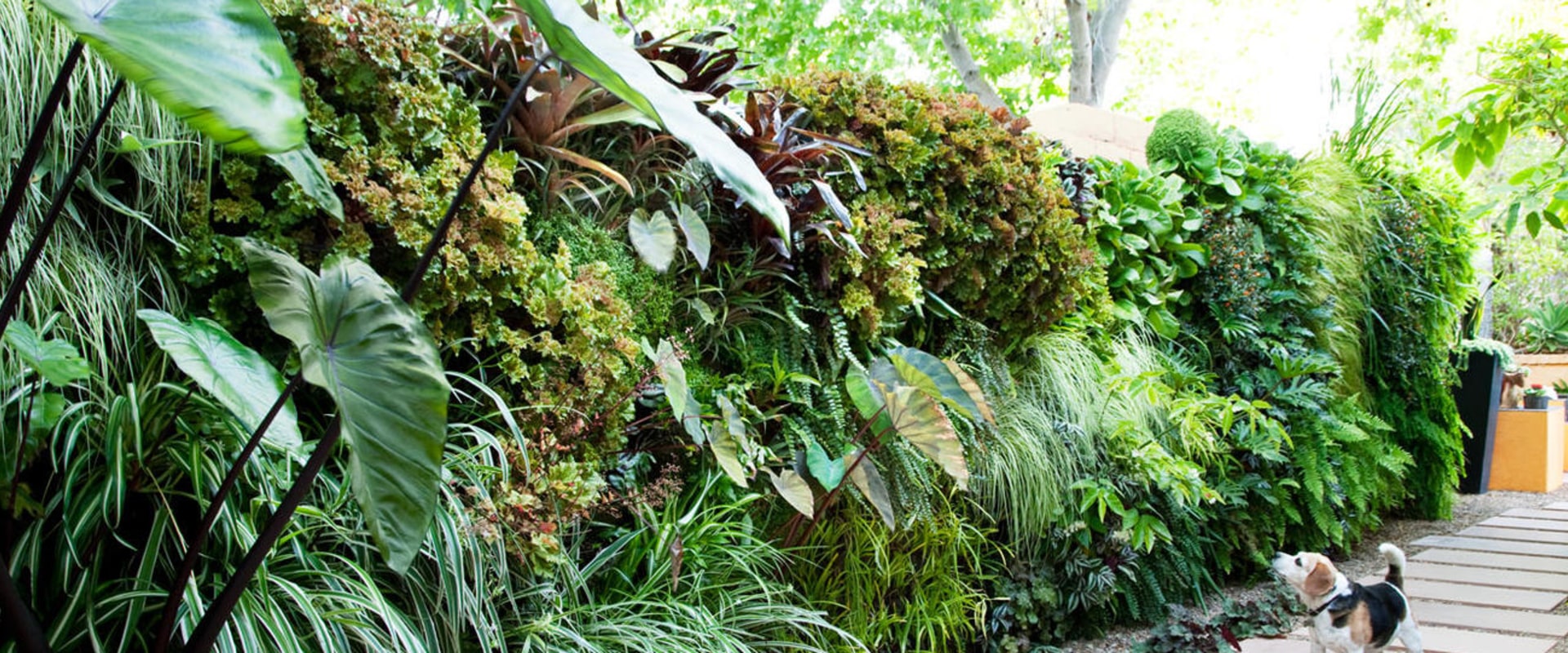 How to Create a Stunning Vertical Garden for Your Outdoor Living Space
