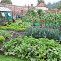 The Importance of Crop Rotation in Enhancing Your Garden Design and Vegetable Gardens