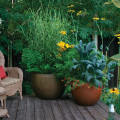 Container Gardens: How to Transform Your Outdoor Living Space
