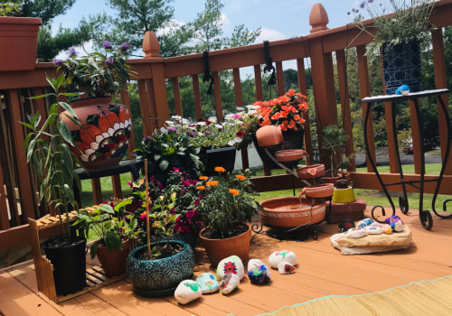 Creating a Butterfly Garden: How to Enhance Your Outdoor Living Space