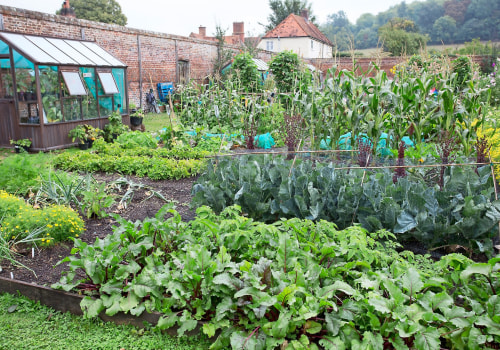 The Importance of Crop Rotation in Enhancing Your Garden Design and Vegetable Gardens