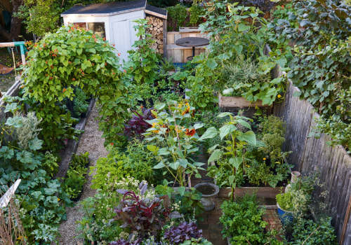 Creating an Edible Garden: How to Enhance Your Outdoor Living Space