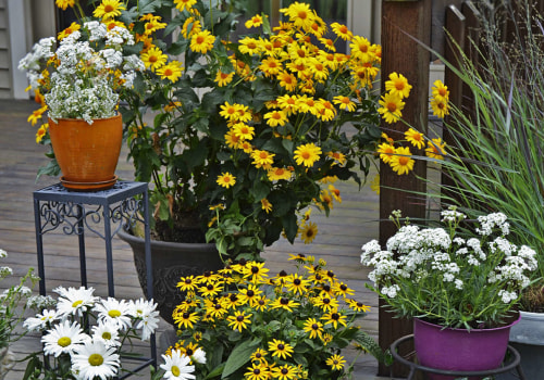 How to Make Your Garden Bloom: The Ultimate Guide to Annual Flower Pots