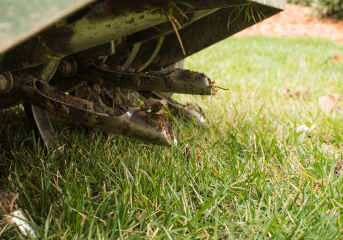 Fertilization and Aeration: The Key to a Beautiful and Functional Lawn